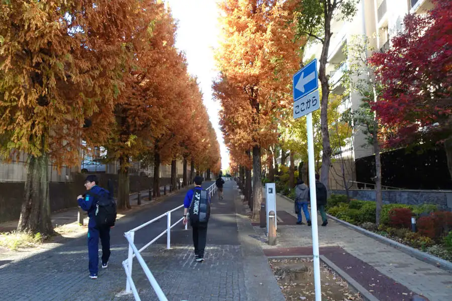 仲町台のマンション街