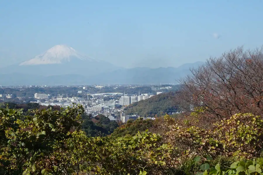 緩やかに坂道を登ると富士山