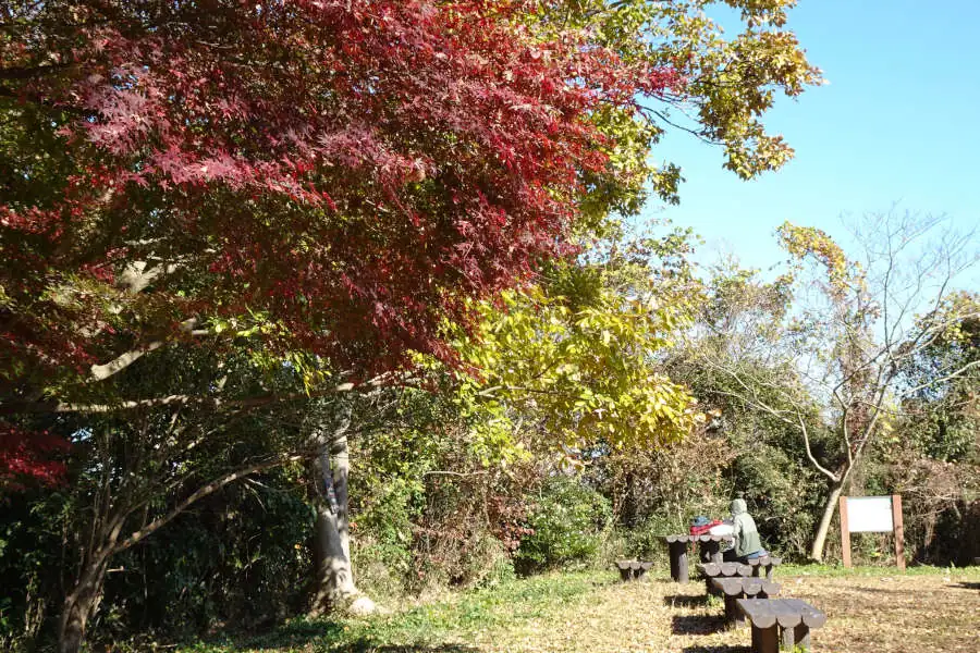 大丸山山頂の紅葉