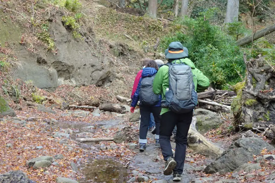 渡渉を繰り返し下って行きます