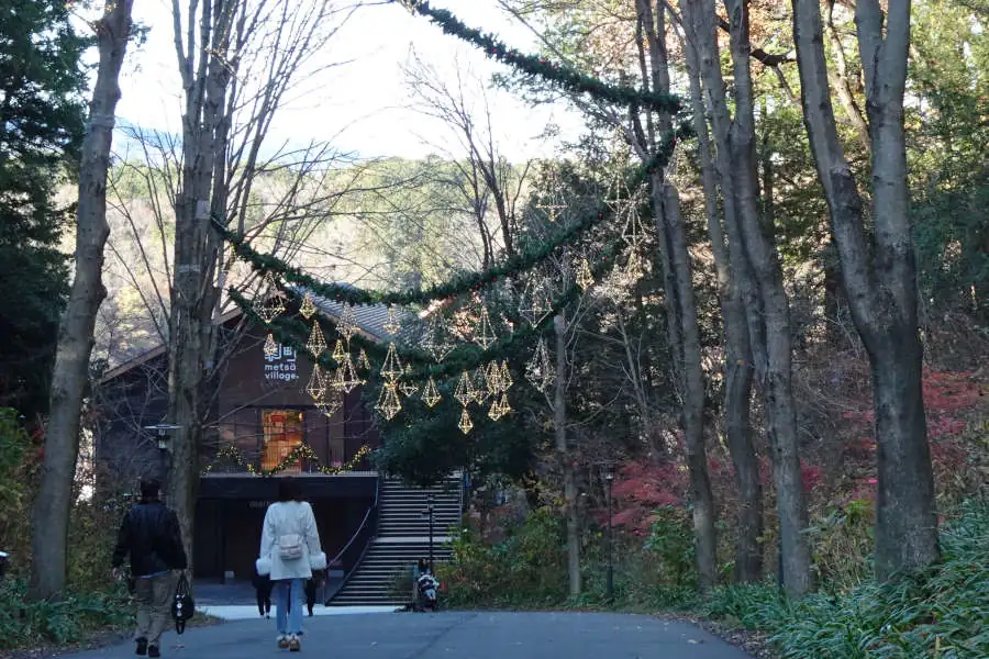 クリスマスのイルミネーション